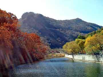 新澳门二四六天天彩，深圳地垫厂家